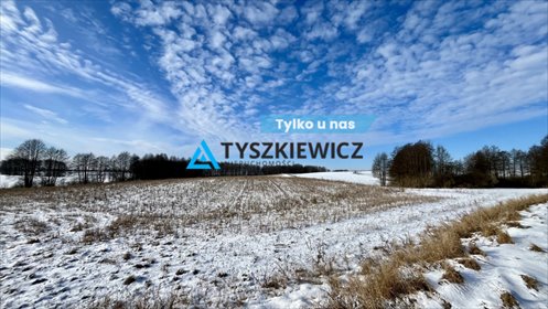 działka na sprzedaż 4793m2 działka Jeleńcz