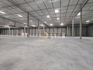 Nowoczesny magazyn 1080 m2 z adaptacją biur i wysokim standardem magazyn Duchnów