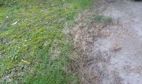 działka na sprzedaż 3310m2 działka Krosno, Bieszczadzka