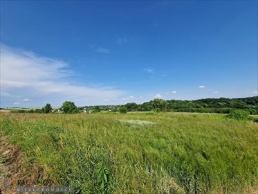 działka na sprzedaż 4870m2 działka Cianowice Małe