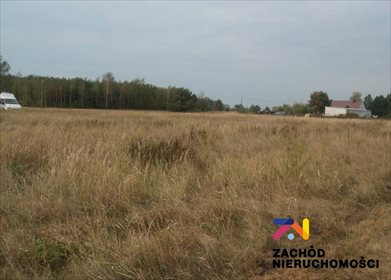 Działka rolna na sprzedaż Goszczanowiec 3 000m2 Foto 2