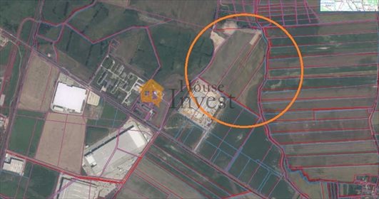działka na sprzedaż 130000m2 działka Gniewomierz