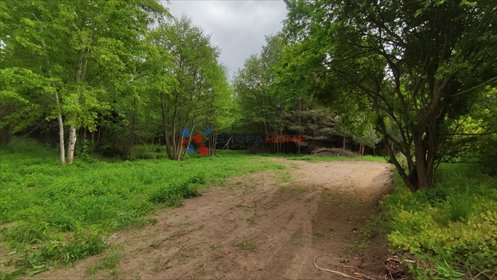 działka na sprzedaż 3000m2 działka Prace Duże