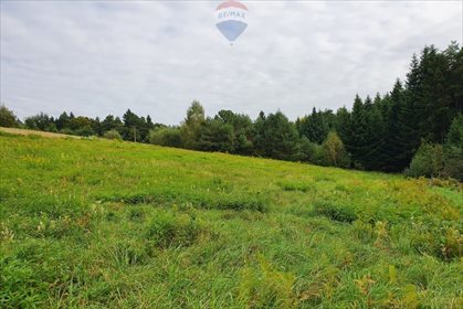 Działka rolna na sprzedaż Bartkowa-Posadowa 15 200m2 Foto 4