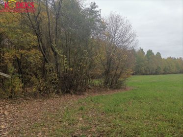 Działka rolna 34 368 m² z lasem (ponad 1 ha) w Strzegocinie działka Strzegocin