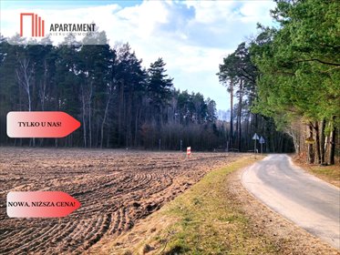 Działki przy lesie i rzece Wda – idealne na dom działka Wałkowiska