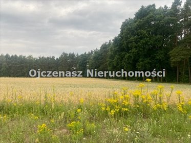 działka na sprzedaż 1253m2 działka Boluminek