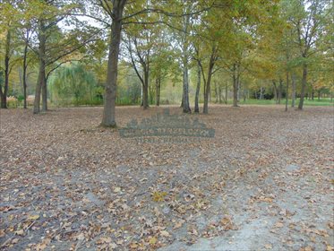 działka na sprzedaż 1511m2 działka Chojnów