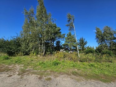 działka na sprzedaż 1667m2 działka Mieszkowice, Słoneczne Wzgórze