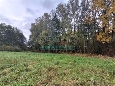 działka na sprzedaż 6000m2 działka Radonie