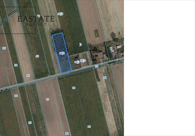 Zapraszam do obejrzenia działki 4999 m² z lasem i mediami działka Niedzieliska