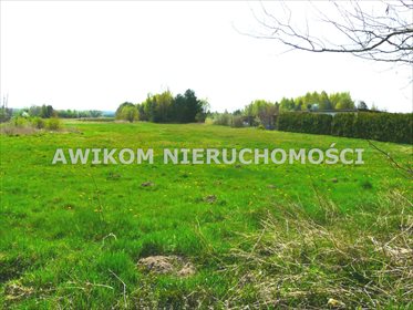 działka na sprzedaż Budy Chojnackie 33000 m2