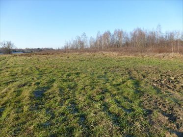 Działka rolna na sprzedaż Wielogóra, Kwiatowa 2 600m2 Foto 4