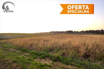 działka na sprzedaż 18486m2 działka Kraków, Nowa Huta, Kościelniki