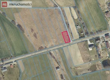 Działka 600 m2 z mediami, do zabudowy zagrodowej działka Niemienice