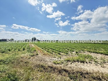 Działki budowlane w Cielcach 1100 m² - zapraszam działka Cielce