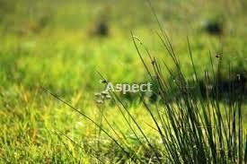 działka na sprzedaż 2762m2 działka Rybnik, Kamień pod Rzędówką