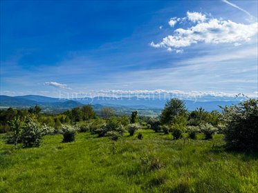 działka na sprzedaż 3250m2 działka Komarno