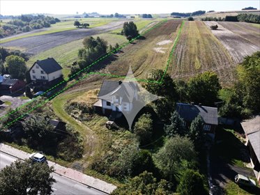 działka na sprzedaż 26000m2 działka Wierzchowisko