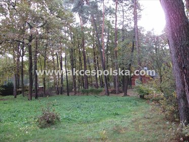 Działka 1600 m² z starodrzewem, media, cisza i las działka Zalesie Górne, Akacjowa