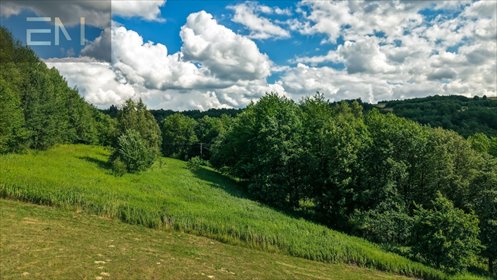 Kompleks działek 1,89 ha - las, spokój, dojazd działka Jaszczurowa