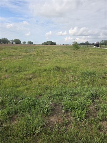 Działka 2400 m² w Sarbiewie - polecam działka Sarbiewo