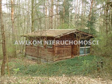 Na sprzedaż działka 4100 m² z domkiem i mediami w Adamowie-Wieś działka Adamów-Wieś