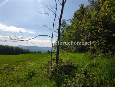 Działka rolna na sprzedaż Klecza 42 000m2 Foto 4