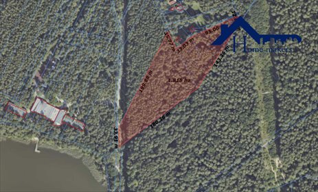 Na sprzedaż trzy działki leśne 17 195 m² w Grabinie działka Grabina