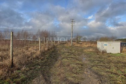 Działka rolna na sprzedaż Wąwelnica 1 191m2 Foto 6