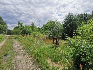 działka na sprzedaż 963m2 działka Żółwin