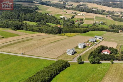 Działka inwestycyjna na sprzedaż Niewodna 14 000m2 Foto 6