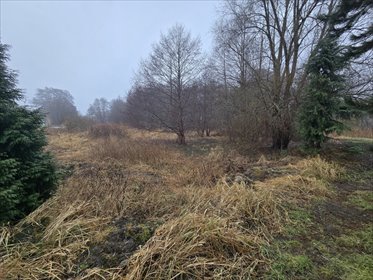 działka na sprzedaż 4200m2 działka Trzebież