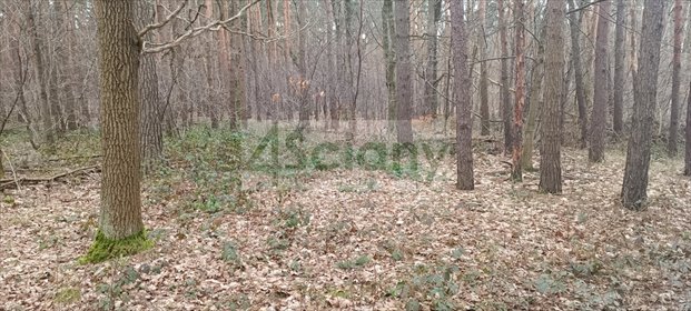 działka na sprzedaż 2103m2 działka Sękocin-Las