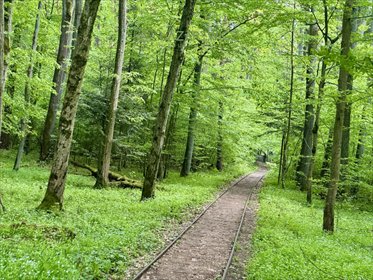 działka na sprzedaż 539m2 działka Rudka