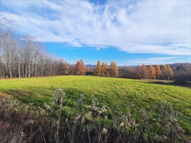działka na sprzedaż 2617m2 działka Niepla