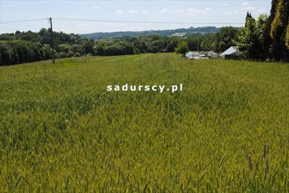 Działka budowlana na sprzedaż Wielkie Drogi 8 900m2 Foto 5