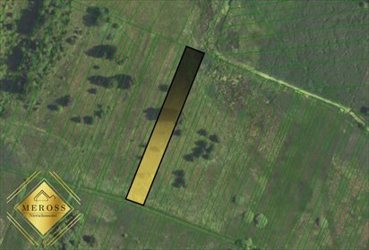 Działka gospodarstwo rolne na sprzedaż Skrzydlów 31 097m2 Foto 2