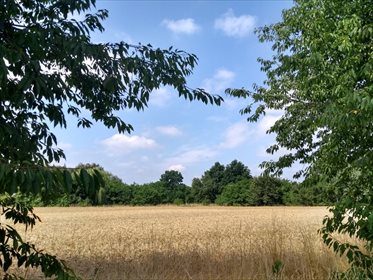 Działka budowlana na sprzedaż Orle Wielkie 1 000m2 Foto 2