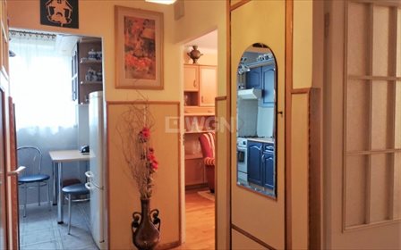 mieszkanie na wynajem 37m2 mieszkanie Żagań, Libelta