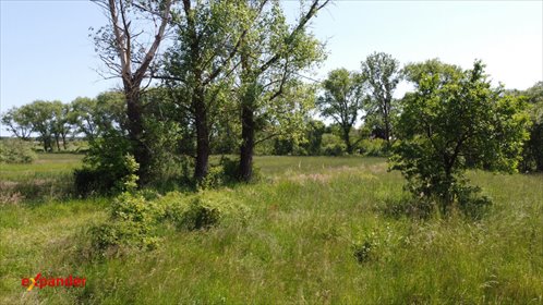 Na sprzedaż działka budowlana 2840 m² z dostępem do prądu działka Zabłocie