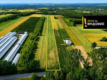 Sprzedam dużą działkę 13 900 m² w Niemścicach działka Niemścice