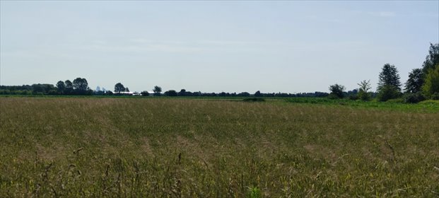 działka na sprzedaż 7533m2 działka Koczargi Nowe, Bugaj