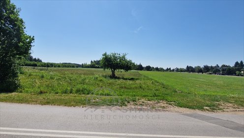 Działka budowlana na sprzedaż Bukowiec 2 348m2 Foto 4