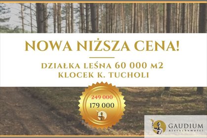 działka na sprzedaż 60000m2 działka Klocek