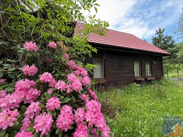 Zapraszam do domu 103 m² z działką 4800 m² w Sowlinach dom Sowliny