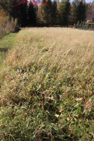 Działka budowlana na sprzedaż Głowienka 3 300m2 Foto 2