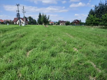 Działka budowlana na sprzedaż Leśna 7 700m2 Foto 5