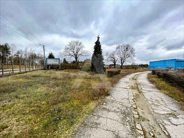 Magazyn na wynajem Brzoza 650m2 Foto 5