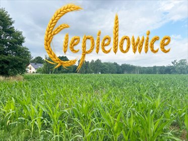 działka na sprzedaż 817m2 działka Ciepielowice, Magnoliowa
